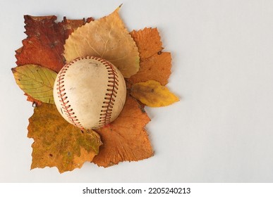 Fall Ball Sport Background With Baseball On Leaves And Copy Space.