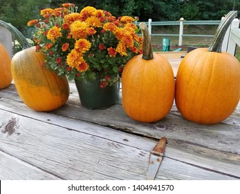 fall is a beautiful time