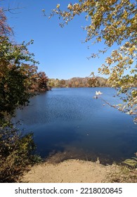 Fall Blue Lake Trees Sky