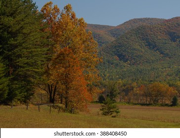 Fall In Cades Cove, Great Smoky Mountains National Park