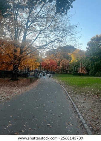 Fall in Central Park nyc