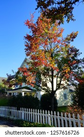 Fall Of Charlottesville, Virginia, USA