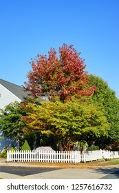 Fall Of Charlottesville, Virginia, USA