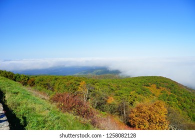 Fall Of Charlottesville, Virginia, USA