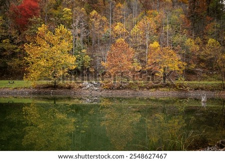 Fall in the Chief Logan Park
