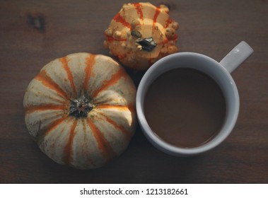 Fall Coffee Table Scape