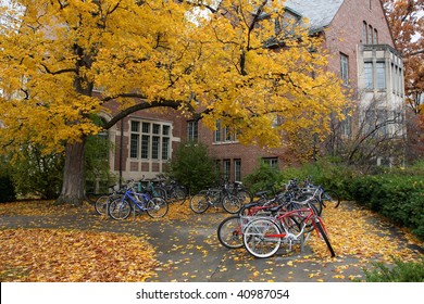 Fall College Campus. University Student Dorm With Autumn Leaves And Bike Racks. Horizontal Format.