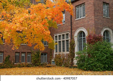 Fall College Campus. University Student Dorm With Autumn Leaves. Horizontal Format.