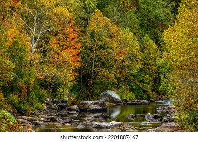 Fall Color Along Cherry River In Nicholas County, West Virginia, USA