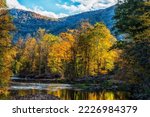 Fall color along Williams River, a mountain stream known for its Trout, Monongahela National Forest, West Virginia, USA