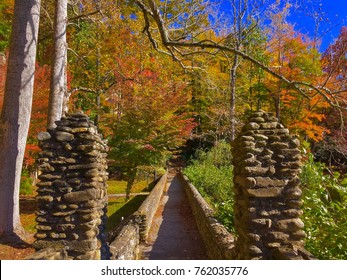 Fall Color At Black Mountain North Carolina 