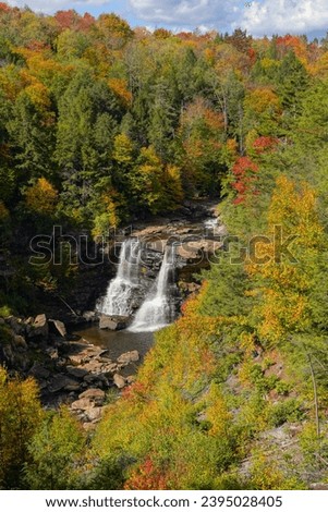 Fall Color in Blackwater Falls State Park