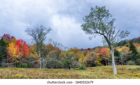 Fall Color In Canaan Valley West Virginia