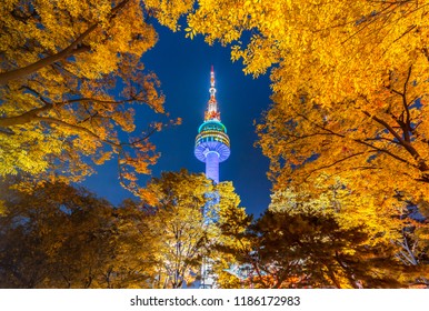 Fall Color Change In Seoul And N Seoul Tower  In Autumn At Night, Seoul City, South Korea