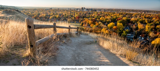 Fall color in the city of trees with foot path and Boise Skyline