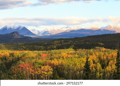 Fall Color Denali National Park