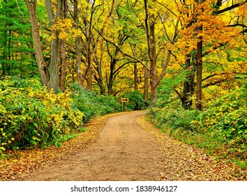 Fall Color Drive - An Autumn Scene Along Killarney Road - Irish Hills - Near Springville, MI