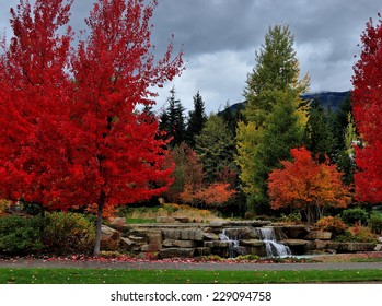 Fall Color Garden In Whistler Village