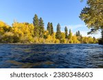 Fall color glowing on yellow trees alongside the blue water of Yakima River