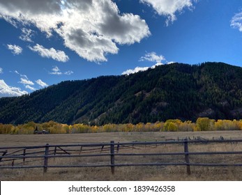 Fall Color In Ketchum, Idaho