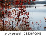 Fall Color at Lake Ouachita  State Park