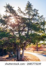 Fall Color In Mitch Park At Edmond, Oklahoma