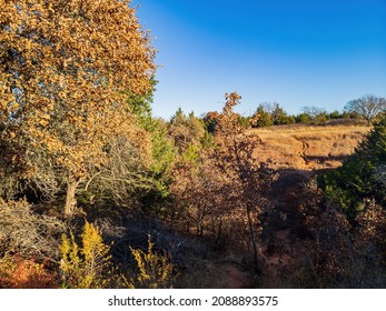 Fall Color In Mitch Park At Edmond, Oklahoma