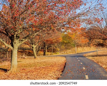 Fall Color In Mitch Park At Edmond, Oklahoma