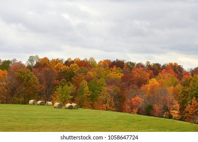 Fall Color In Owen County Indiana