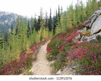 Fall Color, Pacific Crest Trail