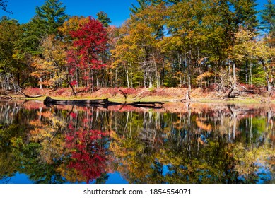 Fall Color Reflection On Saco River