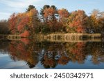 Fall Color reflections in Sudbury Massachusetts