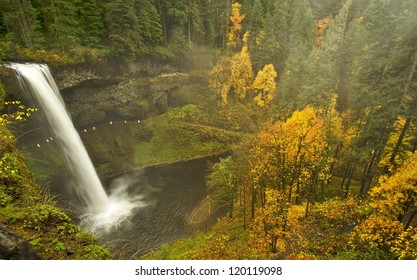 Fall Color In Silver Falls State Park