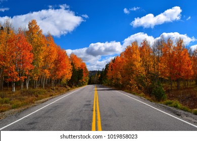 Fall Color At Steamboat Lake State Park