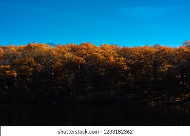 Fall Color Treeline In Harriman State Park