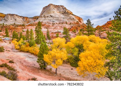 Fall Color In Zion National Park, Utah