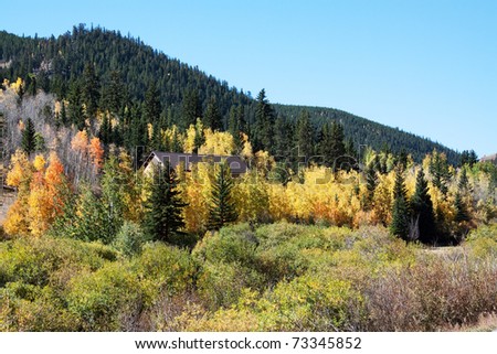 Image, Stock Photo Autumn forest and mountain lake