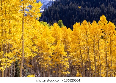 Fall in Colorado Mountains