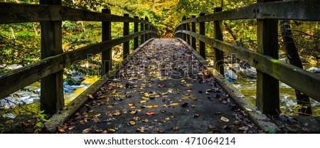 fall colored leaves are on a bridge across a moving creek with wood railing on both side, in a panorama image.