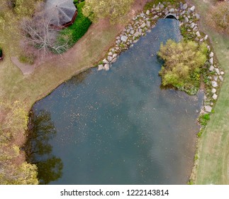Fall colored tree and pond