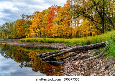 Fall colors accentuate the shoreline of a remote lake in northern Wisconsin.
