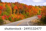 Fall Colors in Algonquin Provincial Park, Ontario Canada