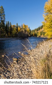 Fall Colors Along The Cle Elum River, Washington.