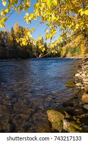 Fall Colors Along The Cle Elum River, Washington.