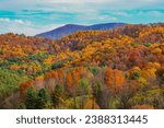 Fall colors in the Appalachian Mountains of Virginia