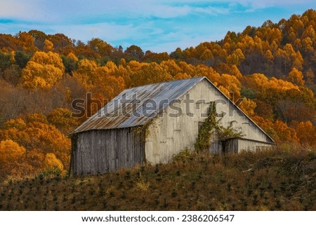 Fall colors in the Appalachian Mountains of Virginia