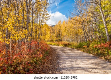 Fall colors at Barrier Lake in Kananaskis in Alberta, Canada