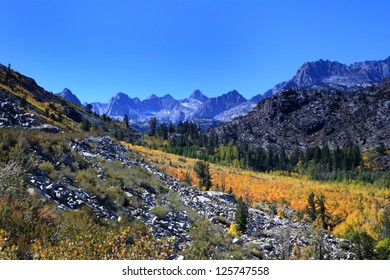 Fall Colors Bishop California