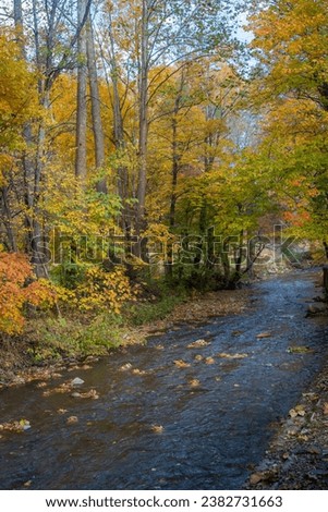 Fall Colors in the Blue Ridge Mountains
