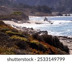 Fall colors by the coast in Carmel